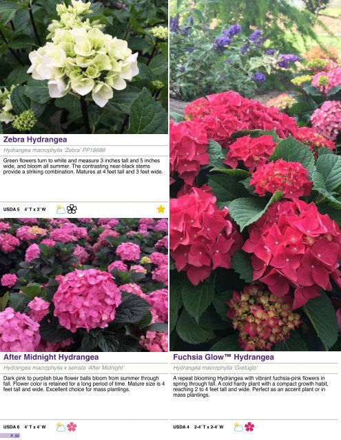 2018 Garden Debut Catalog