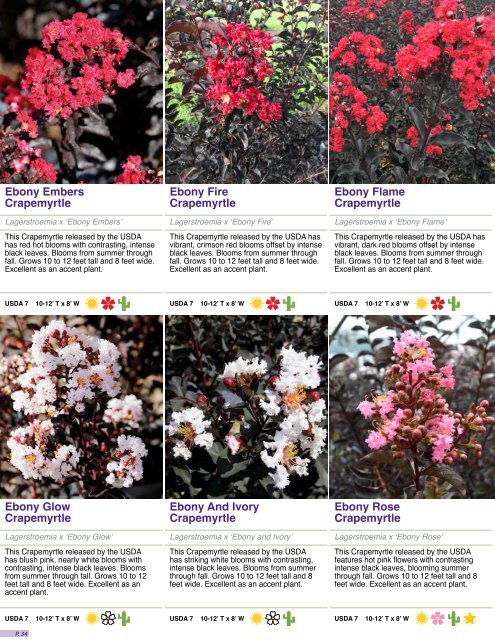 2018 Garden Debut Catalog