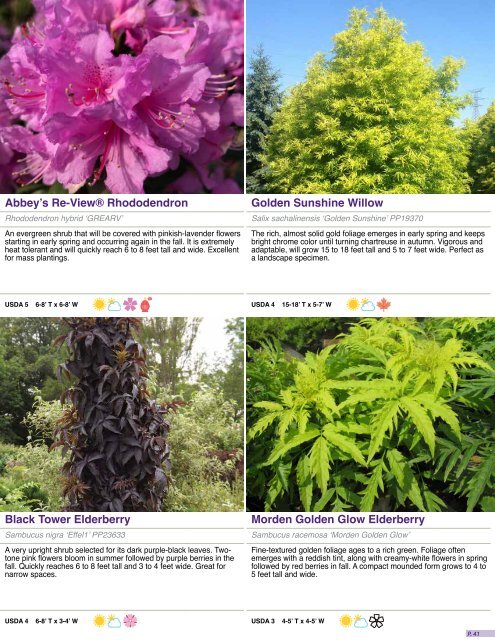 2018 Garden Debut Catalog