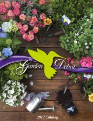 2017 Garden Debut® Catalog