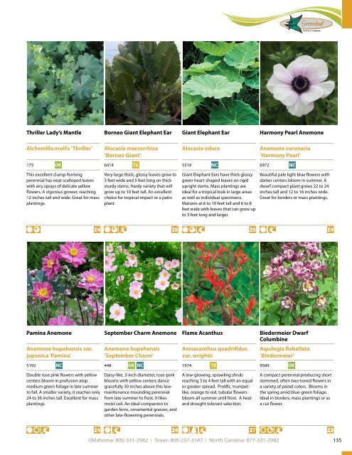 Greenleaf Nursery Company Catalog 2017-2018