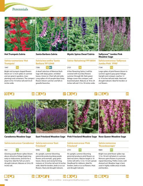 Greenleaf Nursery Company Catalog 2017-2018