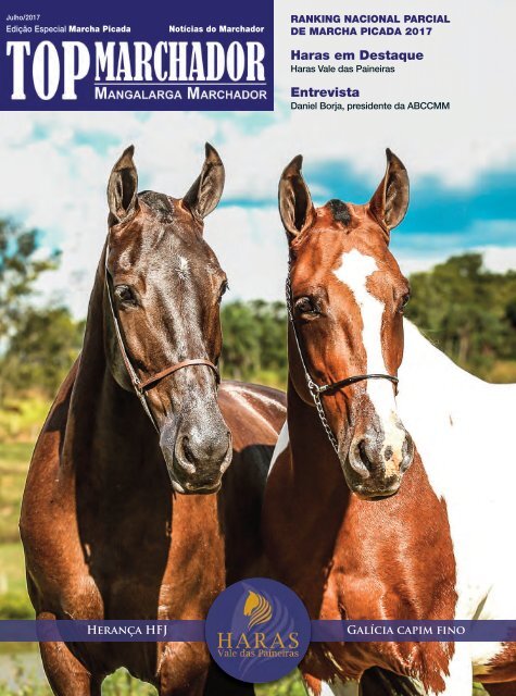 Fundo Pular Em Um Cavalo Através De Um Obstáculo Domador