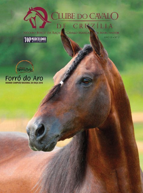 AssAssociação dos Criadores de cavalo da Zona da Mata Mineira