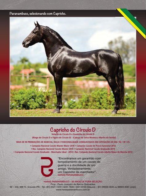 revista cruzilia