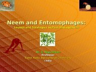 Neem Vs Entomophagous Insects