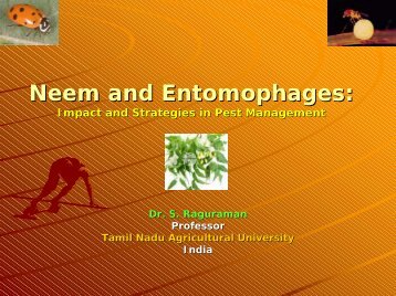 Neem Vs Entomophagous Insects