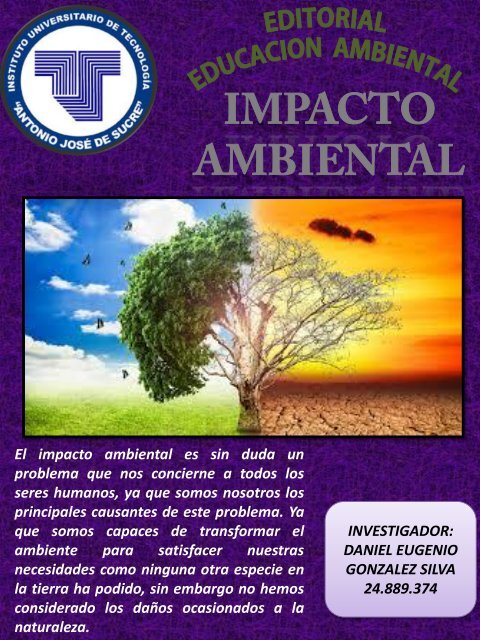 PRESENTACION IMAPACTO A.