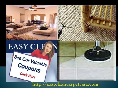 Sacramento Upholstery Cleaning