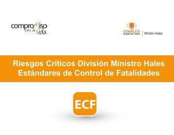 262163030-Libro-Riesgos-Cri-ticos-validado-DMH-pdf