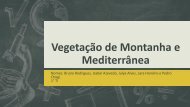 Geo  vegetações 