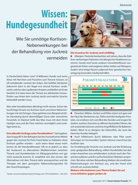 Leseprobe "Unsere besten Freunde" September 2017