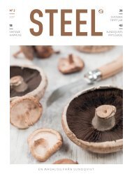Steel nr2 2017
