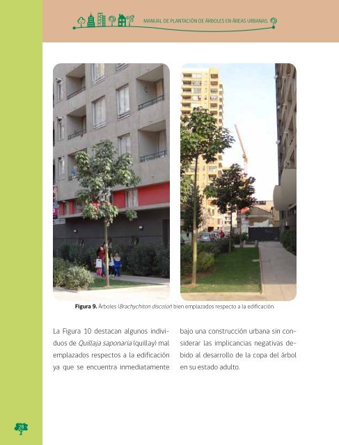 Manual de Plantacion de Arboles en Areas Urbanas