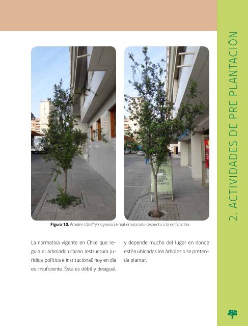 Manual de Plantacion de Arboles en Areas Urbanas