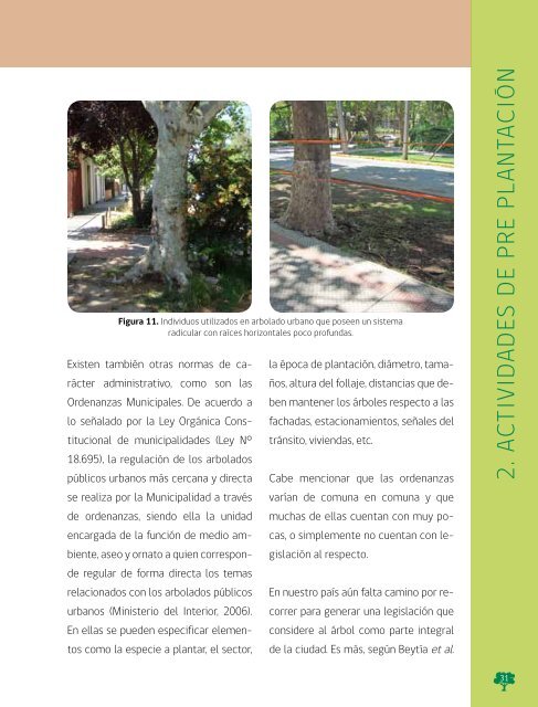 Manual de Plantacion de Arboles en Areas Urbanas