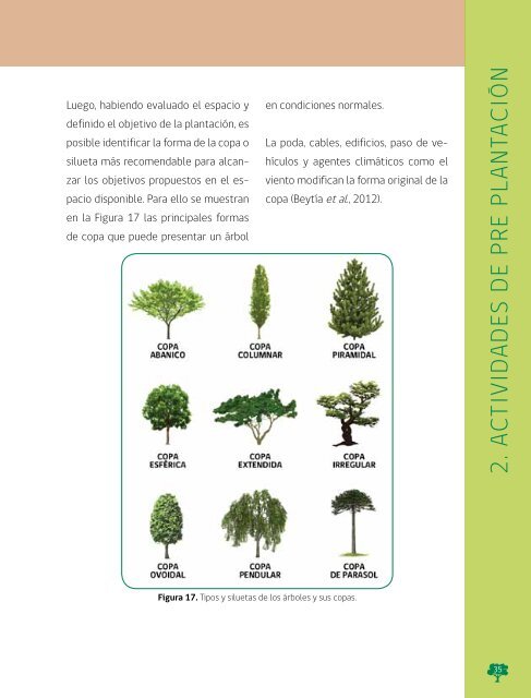 Manual de Plantacion de Arboles en Areas Urbanas