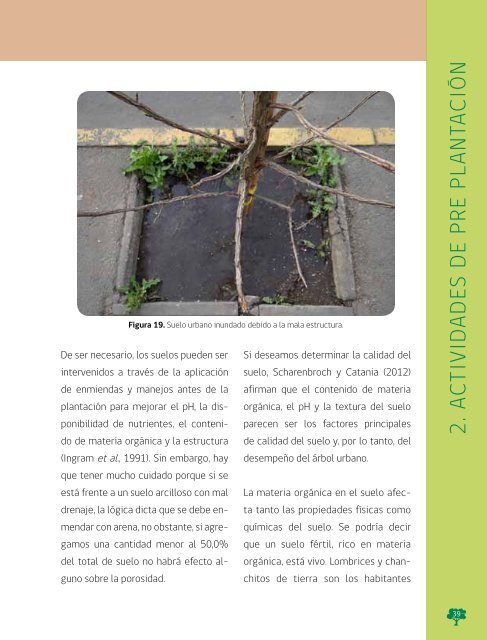 Manual de Plantacion de Arboles en Areas Urbanas