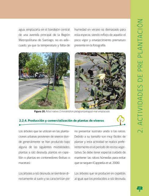 Manual de Plantacion de Arboles en Areas Urbanas