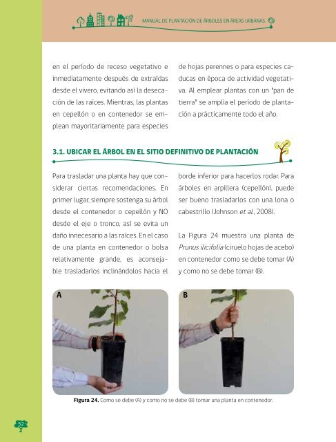 Manual de Plantacion de Arboles en Areas Urbanas