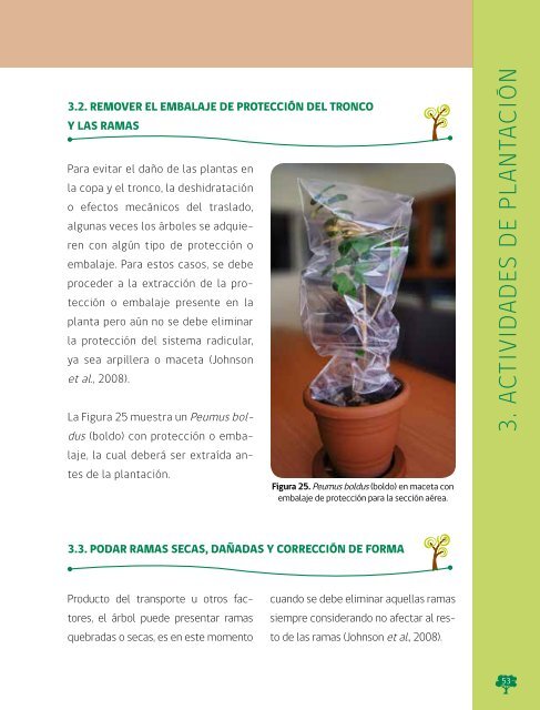 Manual de Plantacion de Arboles en Areas Urbanas