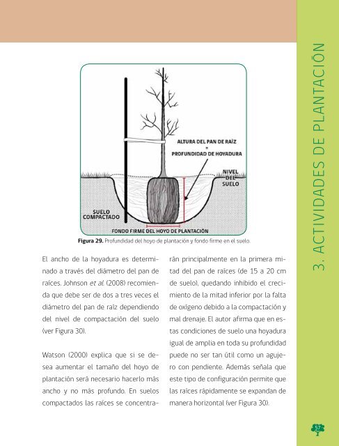 Manual de Plantacion de Arboles en Areas Urbanas