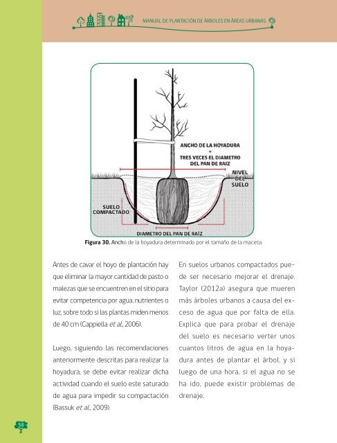 Manual de Plantacion de Arboles en Areas Urbanas