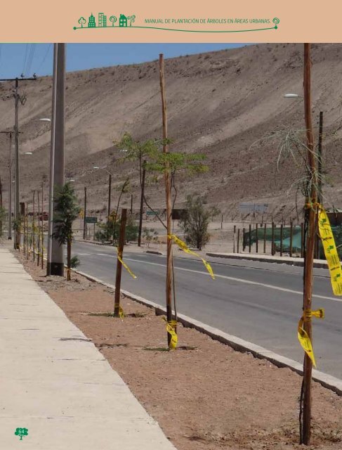 Manual de Plantacion de Arboles en Areas Urbanas