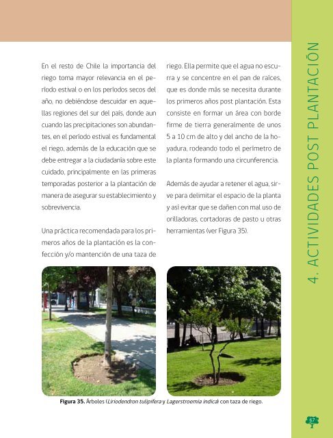 Manual de Plantacion de Arboles en Areas Urbanas