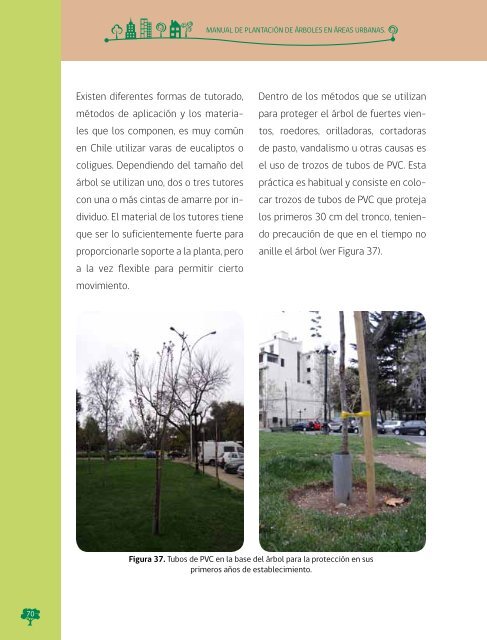 Manual de Plantacion de Arboles en Areas Urbanas