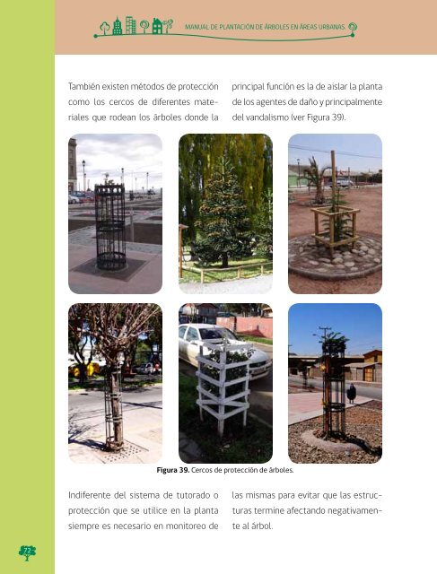 Manual de Plantacion de Arboles en Areas Urbanas