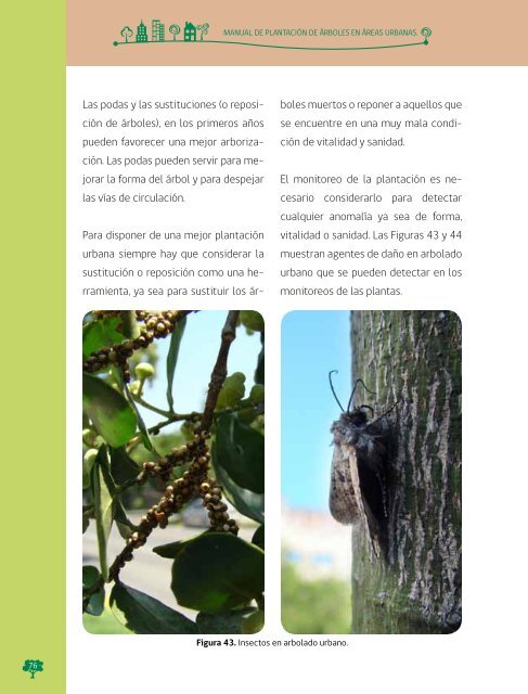 Manual de Plantacion de Arboles en Areas Urbanas