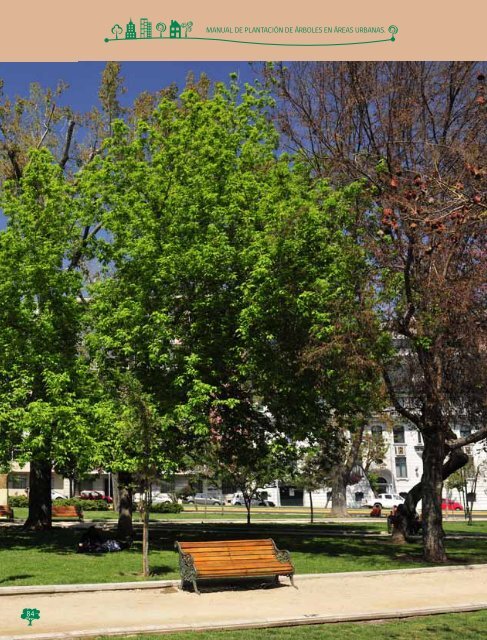 Manual de Plantacion de Arboles en Areas Urbanas