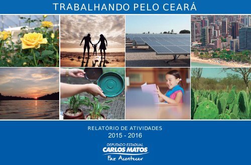 Relatório de atividades Carlos Matos - 2015-2016 