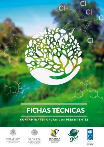 fichas tecnicas