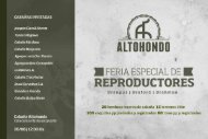 Catalogo Altohondo 2017 