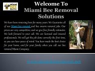 Bee Removal Company  in Florida