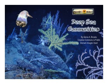 NeS Lesson #1 - Deep Sea Communities Slideshow Rvsd72317