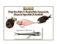 NeS Dramatic Deep Sea Creatures Lesson #2 - Deep Sea Fish Slideshow.pptx
