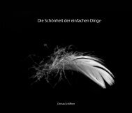 Christa Schiffner - Die Schönheit der einfachen Dinge