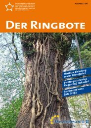 Ringbote 2_2017_End