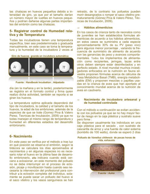 Protocolo de incubación y crianza- Piscilago