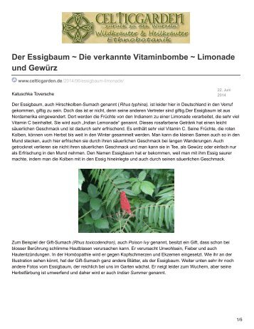 Der Essigbaum - Vitaminbombe  Limonade und Gewürz