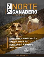 Revista Norte Ganadero No. 3