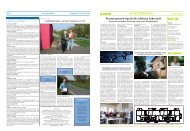 Stadtleitbild aktuell - mit den Projektpaten vor Ort - Stadt Mühlheim