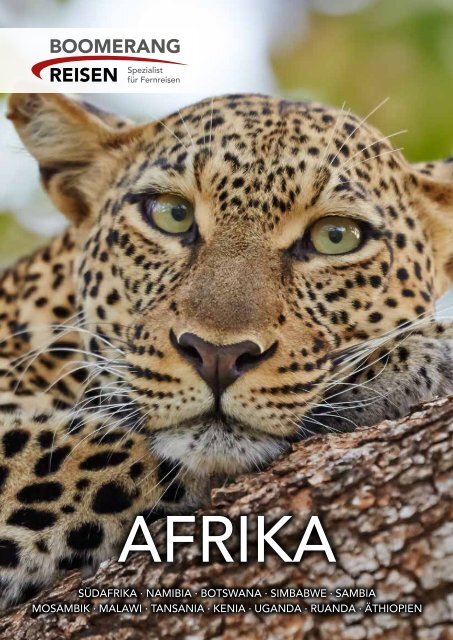 Afrika 2017/18 - Schweizer Preise