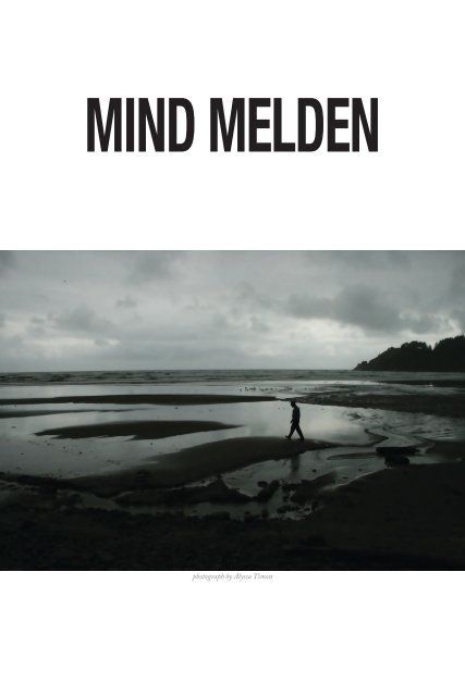 Mind Melden web viewer inside sample pages