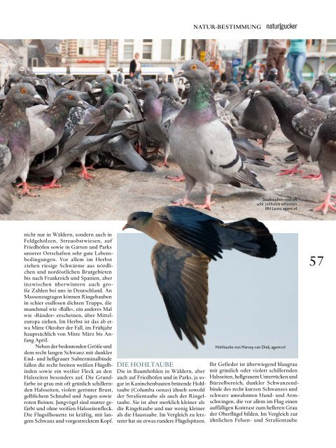 DAS MAGAZIN ZUR VOGEL- UND NATURBEOBACHTUNG