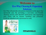 Green Cleaning Service in New Jersey