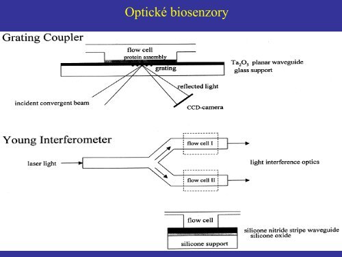 OPTICKÉ BIOSENZORY.pdf - FBMI